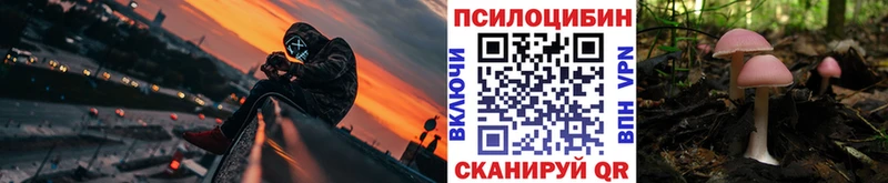 купить закладку  Касимов  OMG   Псилоцибиновые грибы Magic Shrooms 